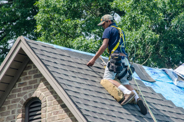 Best Roof Gutter Cleaning  in Judsonia, AR